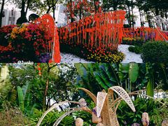 -海心沙亚运公园