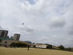 -新江湾城公园