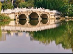 -洋湖国家湿地公园