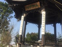 -鹅湖玫瑰文化园