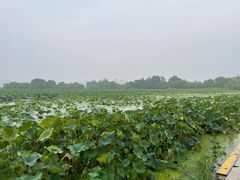 -云龙湖旅游景区