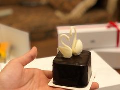-BLACKSWAN黑天鹅(环球店)
