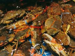 -阿明小菜·海鲜·上海菜(梅陇华理店)