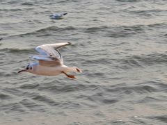 -兴城海滨风景区