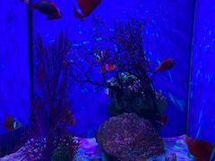 -多彩贵州城极地海洋世界