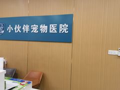 -小伙伴宠物医院•急重症转诊中心·老年专科·犬猫全科(北大街总院)
