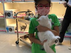 -lincat·猫舍(广州店)