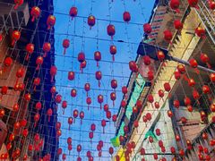 -广州白江湖森林公园