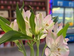 -眉州东坡(通州店)