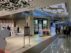 -达拉斯 沃斯堡国际机场