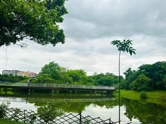 -福田红树林生态公园