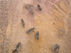 -鄂尔多斯野生动物园