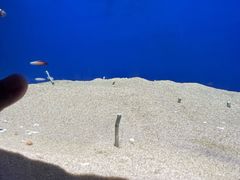 -广州海洋馆