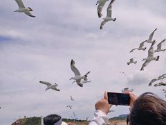 -海驴岛(荣成市)