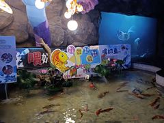 -烟台海昌鲸鲨海洋公园