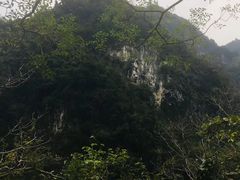 -太鲁阁公园