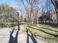 -玲珑塔公园