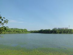 -昆山城市生态森林公园