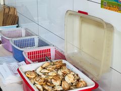 -金莲葱饼