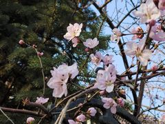 -长春市南湖公园