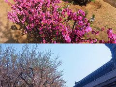 -张学良旧居陈列馆