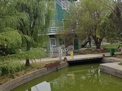 -洛阳郁金香牡丹园