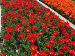 -上海四季花港-停车场