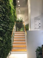 -悦诗风吟innisfree