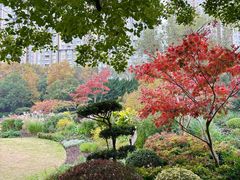 -中山公园