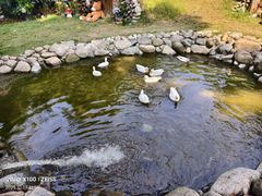 -HERRE·FARM 赫尔露营农场·团建聚会包场