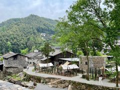 -MOJ coffee(瓯海泽雅水碓坑店)