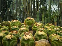 -深圳仙湖植物园