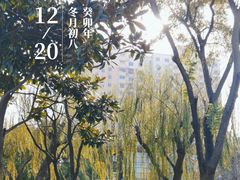 -三林塘老街
