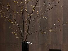 -北京三里屯CHAO酒店