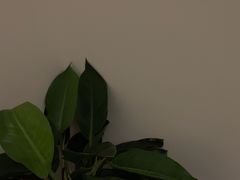 -鼎族怡华·指压·油压·经络(西单昌盛大厦店)