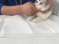 -美美宠物诊疗中心·异宠·骨科(滨江东信分院)