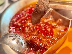 小龙坎毛肚-小龙坎火锅(IFS HOT店)