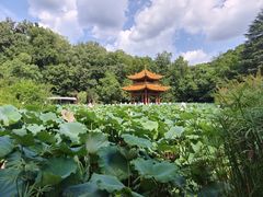-富乐山