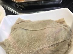 -绵阳森林雨鸭肠王火锅城(丽景花城店)