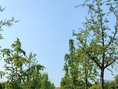 -明故宫遗址公园