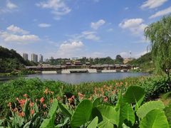-重庆彩云湖湿地公园