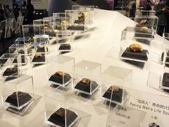 -北京周口店北京人遗址博物馆