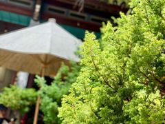 -喜洲翰林餐厅(董家百年老宅店)