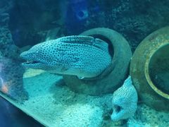 -石家庄海洋公园