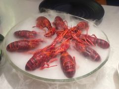 -红盔甲·小龙虾(天钥桥店)