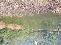android_upload_pic-楠柏弯休闲山庄(梨花溪店)