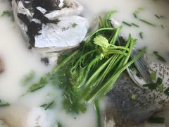 -天乐农家鱼头王(天目湖店)