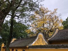 -阿育王寺