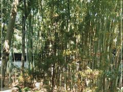 -秋霞圃