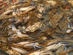 -一方渔歌蒸汽海鲜自助(文化路万达广场店)